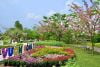 Vườn Hồng Tư Tôn