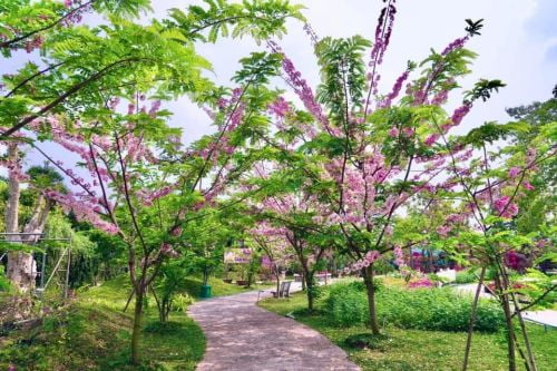 Vườn Hồng Tư Tôn